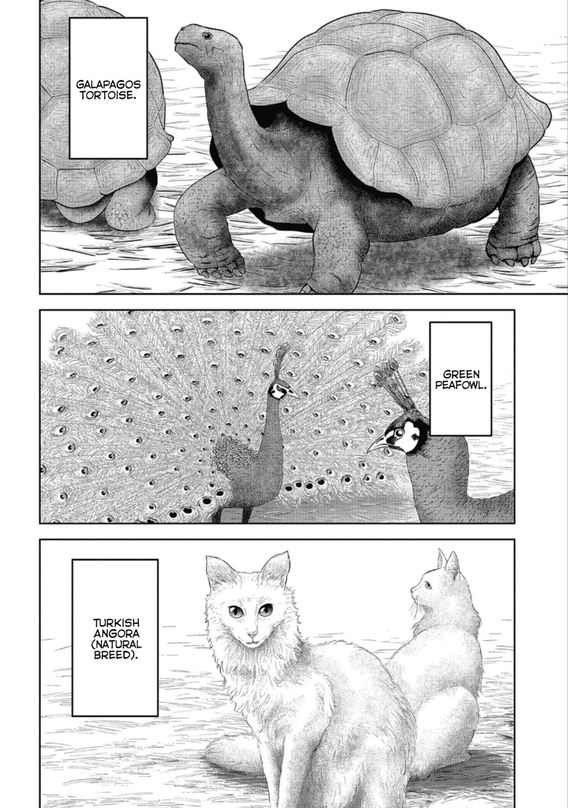 Revolt page 30