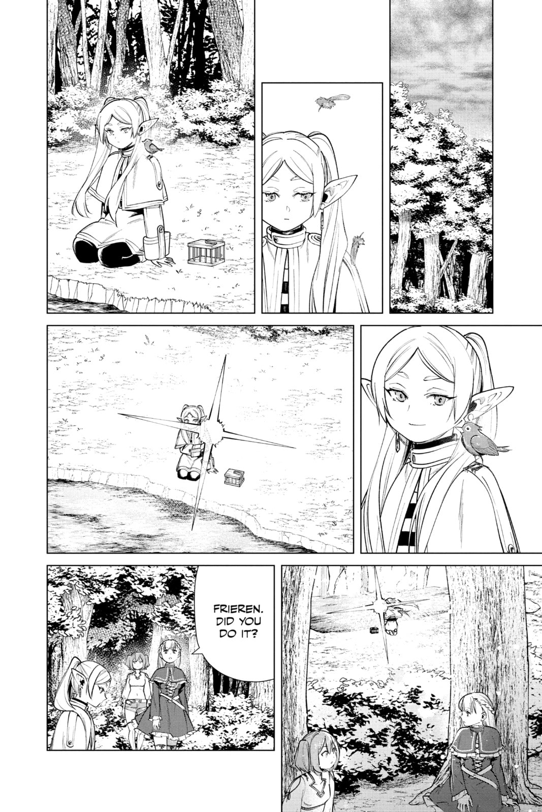 Bird Capturing Magic page 15
