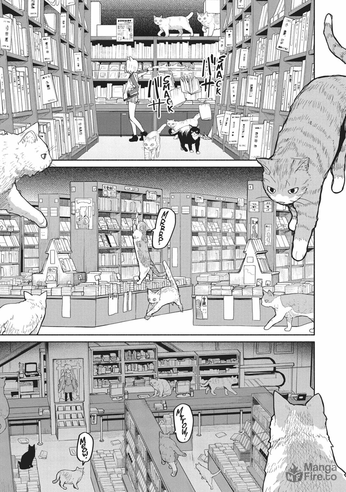 Mysteries, Maidens, and Mysterious Disappearances – Chapter 17 page 35